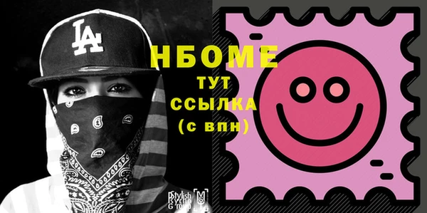 прущий лед Каменка