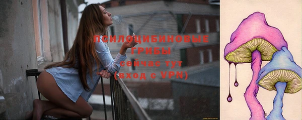 прущий лед Каменка