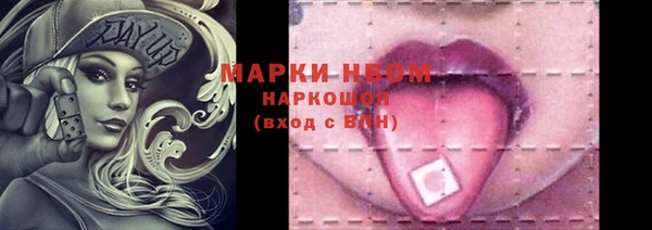 прущий лед Каменка