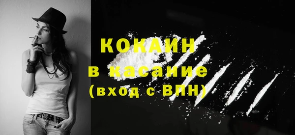 прущий лед Каменка