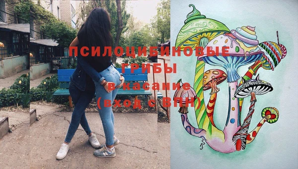 прущий лед Каменка