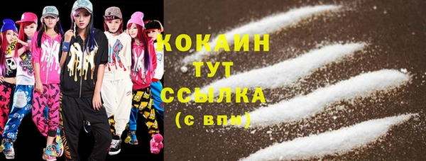 прущий лед Каменка