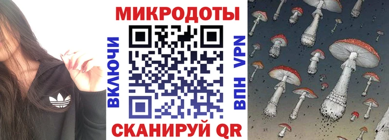 Псилоцибиновые грибы GOLDEN TEACHER  Купить закладки  Багратионовск 