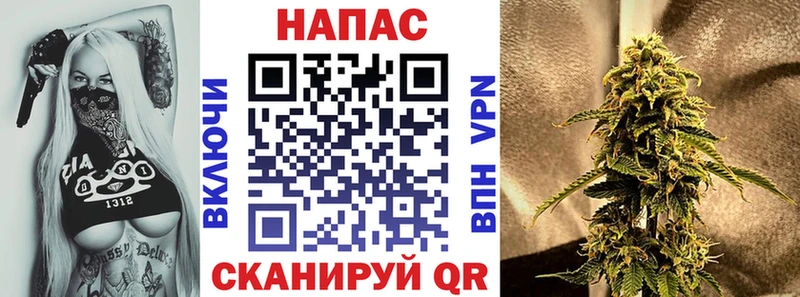 Купить  Багратионовск  Марихуана индика 